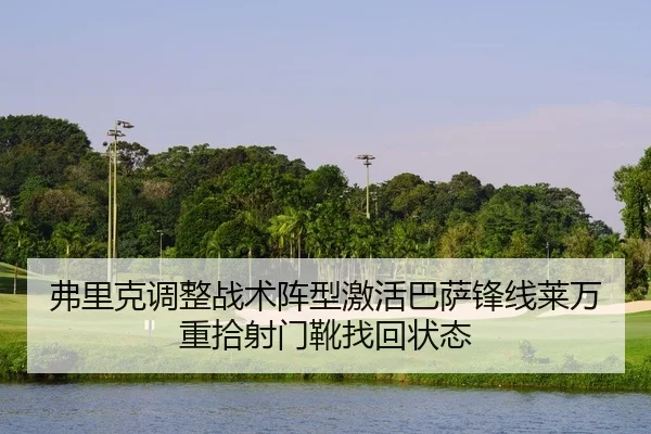 fu-li-ke-tiao-zheng-zhan-shu-zhen-xing-ji-huo-ba-sa-feng-xian-lai-wan-zhong-shi-she-men-xue-zhao-hui-zhuang-tai-2-489.jpg